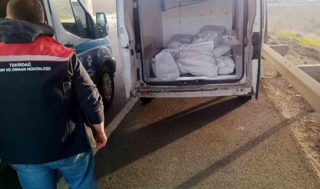 Tekirdağ'ın Muratlı ilçesinde yapılan yol denetiminde, menşei belirsiz 400 kilogram