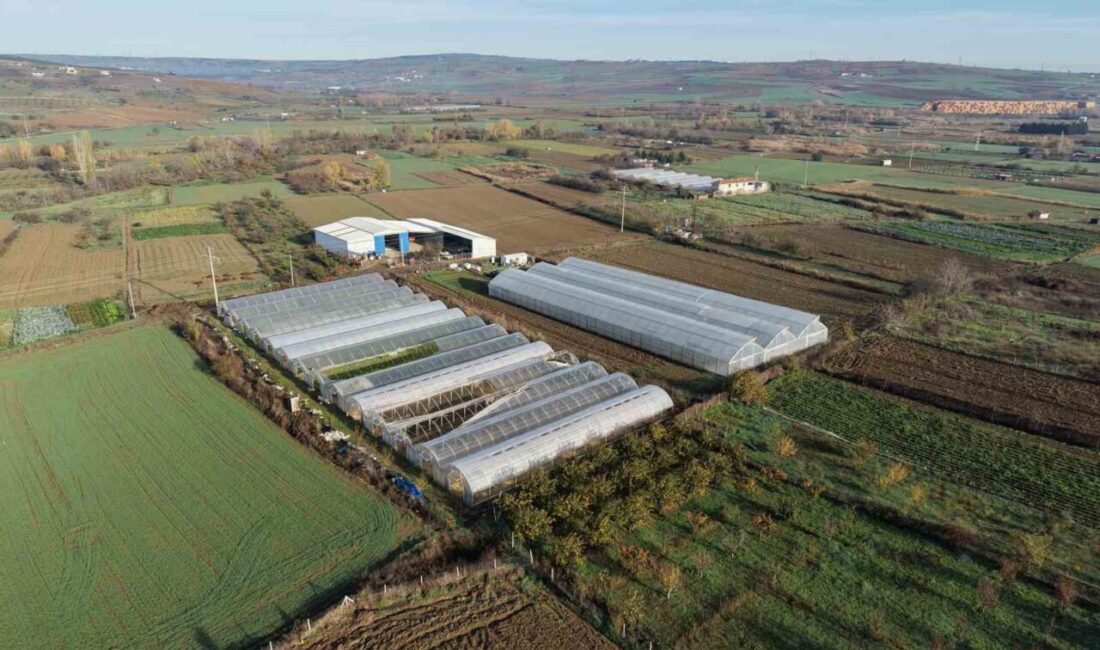 Tekirdağ'ın Naip Mahallesi'nde düzenlenen törende, İl Tarım ve Orman Müdürü