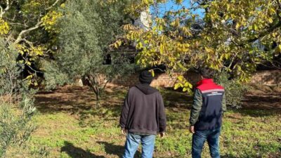 Tekirdağ'ın Marmaraereğlisi ilçesi Yeniçiftlik Mahallesinde, Tarım ve Orman Müdürlüğü ekipleri