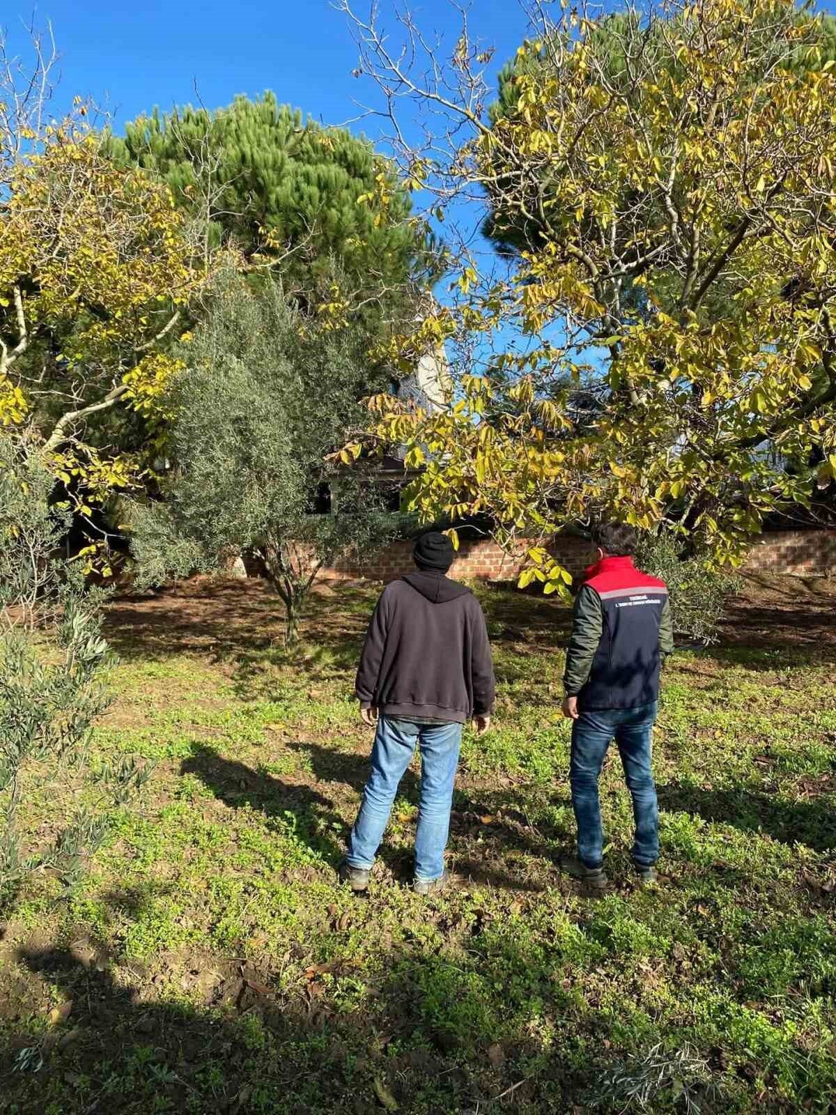 Tekirdağ'ın Marmaraereğlisi ilçesi Yeniçiftlik Mahallesinde, Tarım ve Orman Müdürlüğü ekipleri