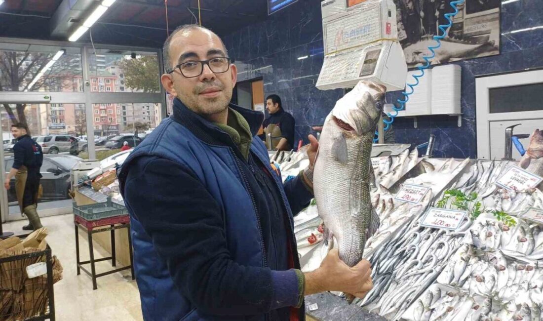 Kayseri’de Hamsi Bolluğu Devam Ederken, Palamut Balığında Düşüş Gözlemleniyor Kayseri'deki balıkçı Ali Akçakaya, denizlerde palamut azlığı nedeniyle hamsi ve