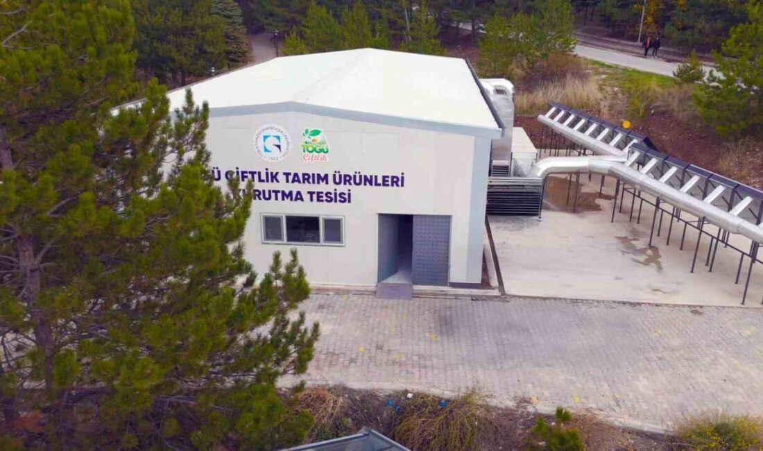 Tokat Gaziosmanpaşa Üniversitesi, tamamen güneş enerjisiyle çalışan Tarım Ürünleri Kurutma
