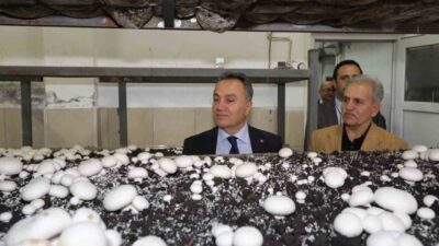 Tokat Gaziosmanpaşa Üniversitesi Rektörü Prof. Dr. Fatih Yılmaz, mantar üretim