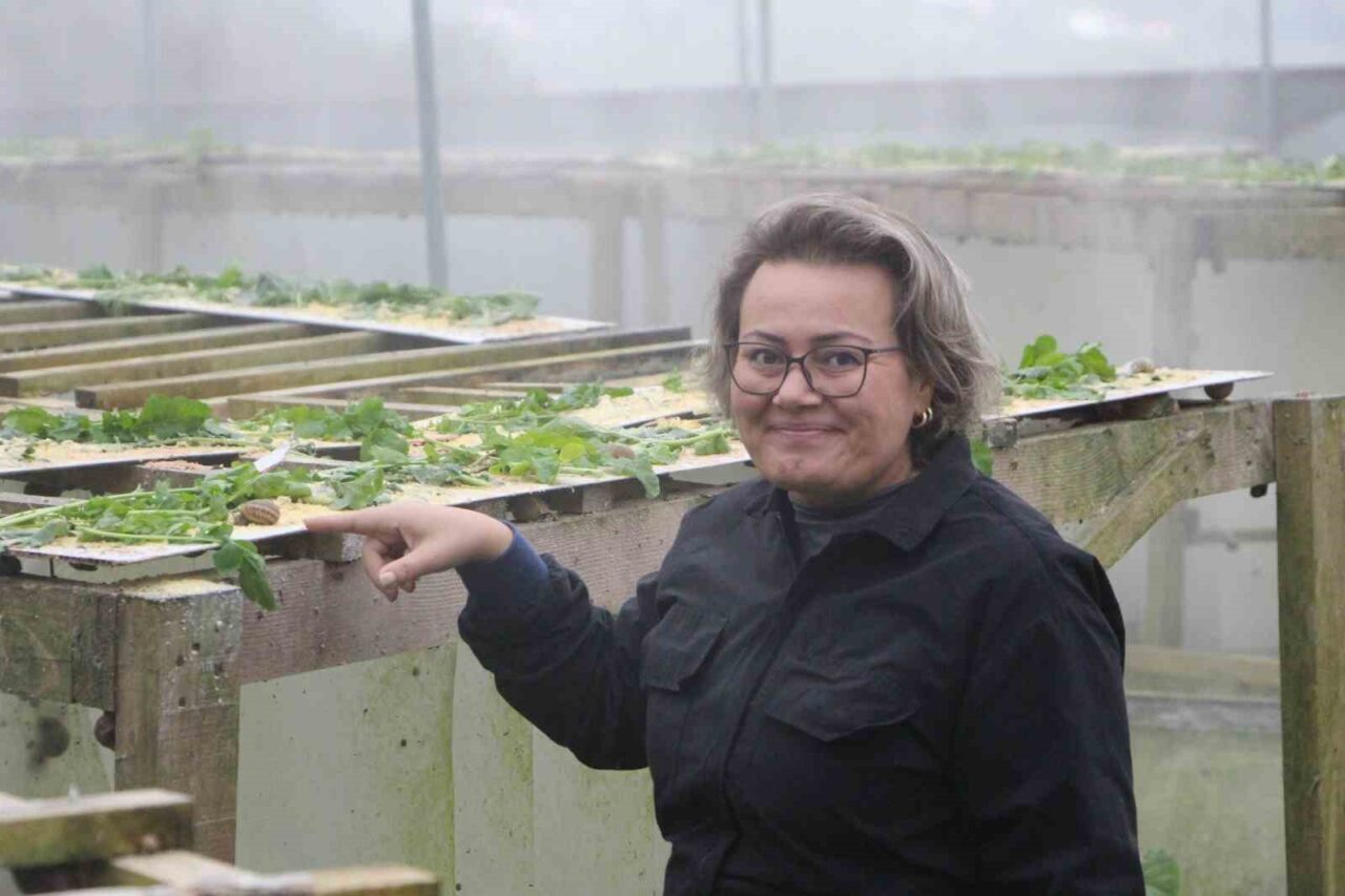 Trabzon'da Ülkü Koçoğlu, pandemide keşfettiği salyangoz ihracat potansiyeli ile "Googlis"