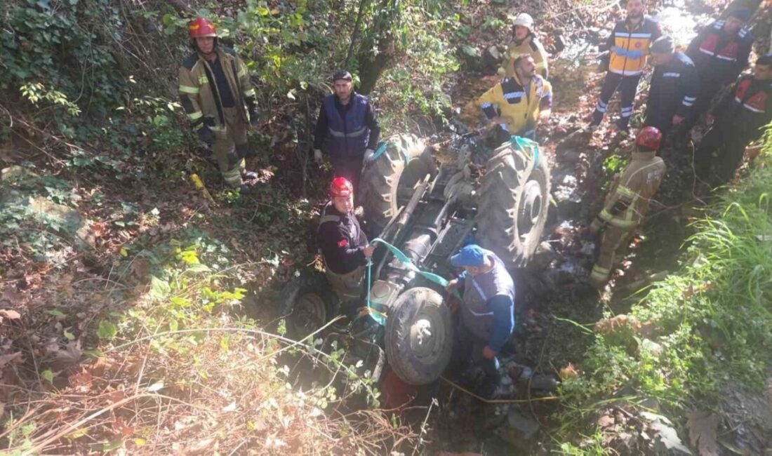 Bursa'nın Orhangazi ilçesinde Ali Durmuş (78), zeytin bahçesinden dönerken kaygan