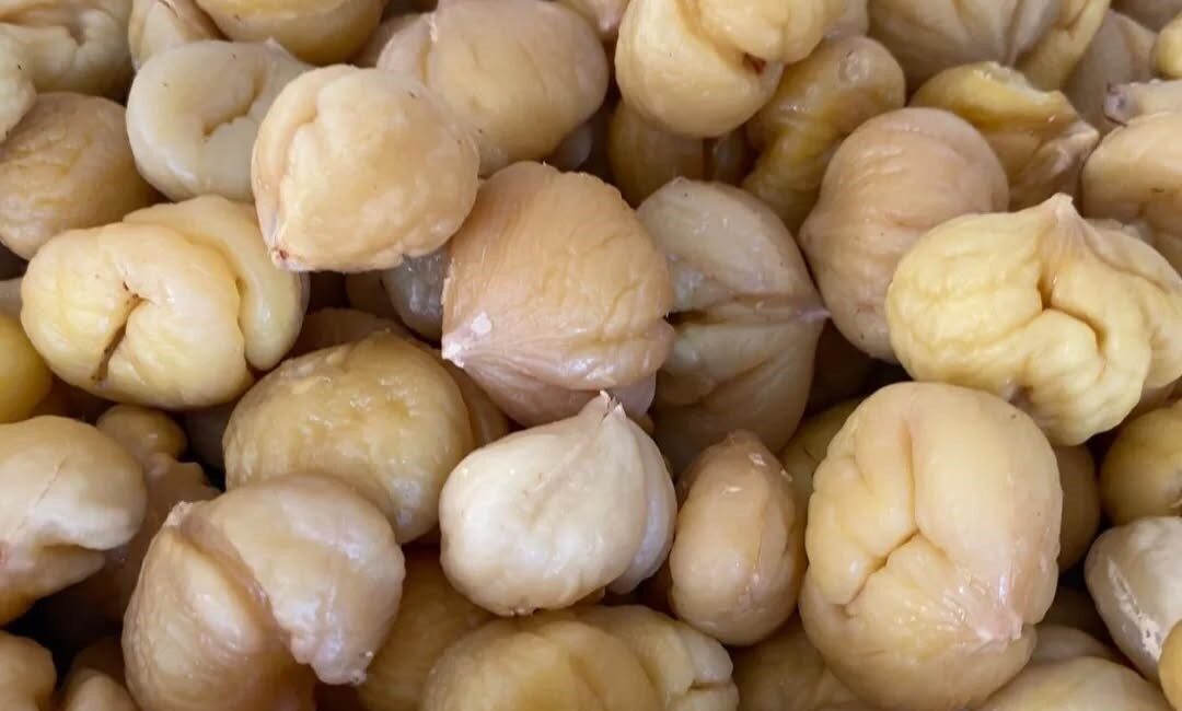 Aydın’da Kestane Hasadı Sonrası İhracat Hazırlıkları Başladı Aydın'da kestane hasadı tamamlanırken, İl Tarım ve Orman Müdürlüğü ekipleri