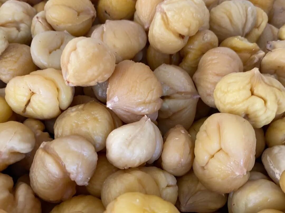 Aydın'da kestane hasadı tamamlanırken, İl Tarım ve Orman Müdürlüğü ekipleri