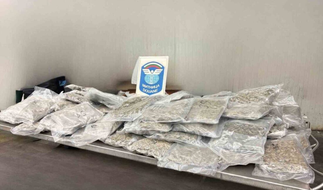 Edirne Kapıkule Sınır Kapısı'nda, Bulgar plakalı bir aracın kontrolünde 22