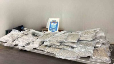 Edirne Kapıkule Sınır Kapısı'nda, Bulgar plakalı bir aracın kontrolünde 22