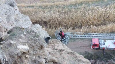 Çorum'un Sungurlu ilçesindeki Kula köyünde, dağlık arazide mahsur kalan keçiler,