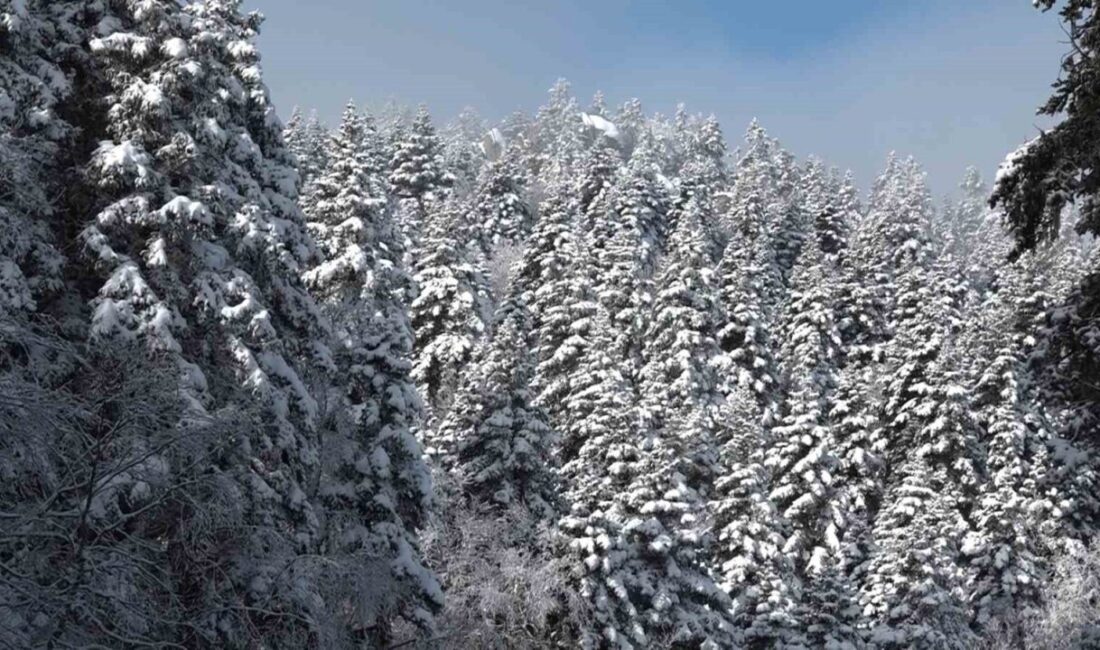 Uludağ’daki Yoğun Sis, Görüş Mesafesini 5 Metreye Düşürdü Uludağ'da etkili olan sis nedeniyle görüş mesafesi 5 metreye düştü.