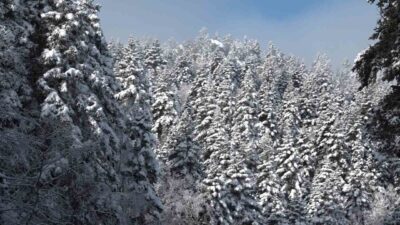 Uludağ'da etkili olan sis nedeniyle görüş mesafesi 5 metreye düştü.