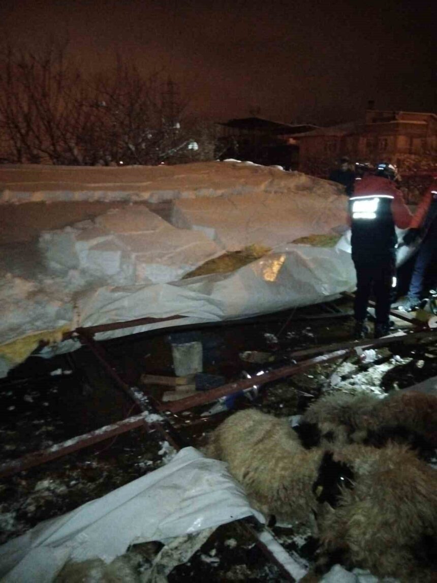 Edremit’te kar yüküne dayanamayarak çöken ahırda 5 küçükbaş hayvan telef oldu.