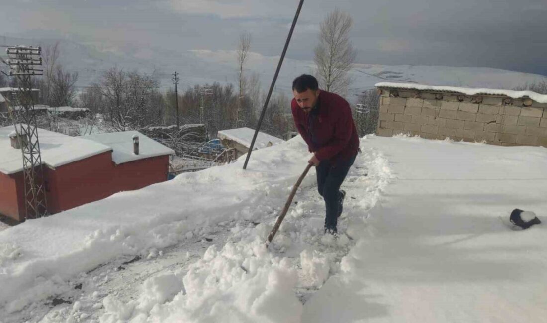 Van’da Kar Yağışı Nedeniyle 17 Yerleşim Yerinin Yolu Kapandı, Araçlar Mahsur Kaldı Van'da akşam saatlerinde etkili olan kar nedeniyle 17 yerleşim yeri