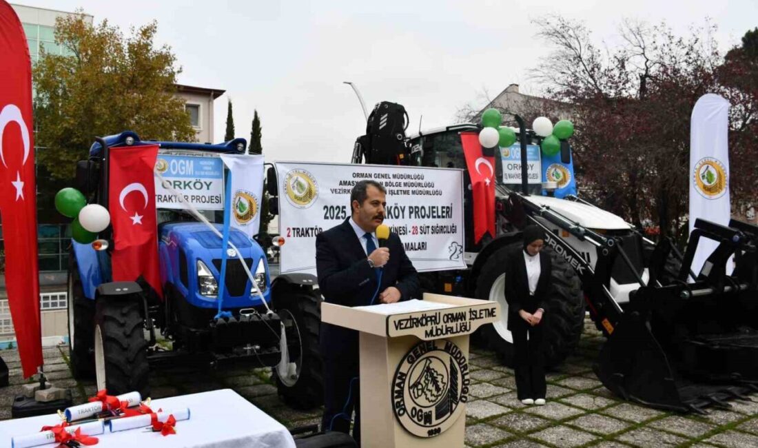 Samsun'un Vezirköprü ilçesinde düzenlenen törenle 14 aileye süt sığırcılığı için