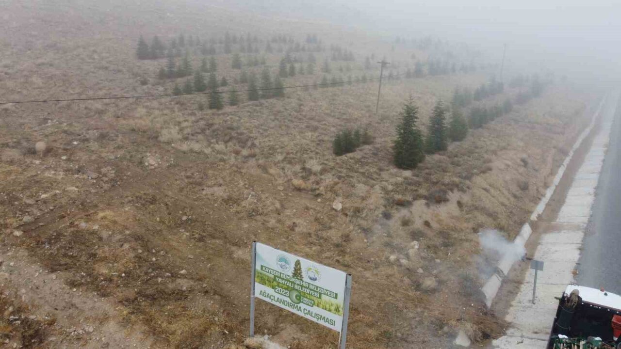 Kayseri Büyükşehir Belediyesi, Yahyalı'daki Ağcaşar Barajı bölgesinde fidan dikim etkinliği