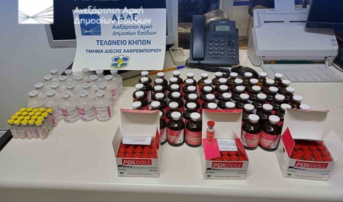 Edirne İpsala Sınır Kapısı'ndan Yunanistan'a geçmek isteyen 40 yaşındaki Türk