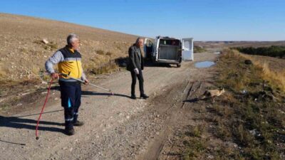 Adıyaman Belediyesi Veteriner İşleri Müdürlüğü, yaralı bir tilkiyi tedavi ederek