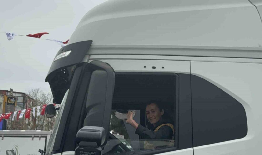 Kocaeli'nin Gebze ilçesinden Sudan'a gönderilen 10 tır insani yardım, yapılan