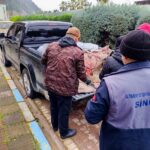 Ayancık’ta Yasa Dışı Avlanan 625 Kalkan Balığı İhtiyaç Sahiplerine Dağıtıldı