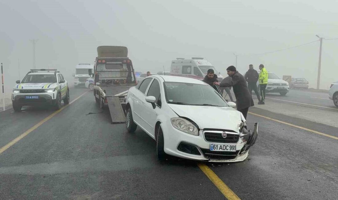 Bitlis-Tatvan yolu üzerindeki Rahva mevkiinde yoğun sis nedeniyle dört aracı