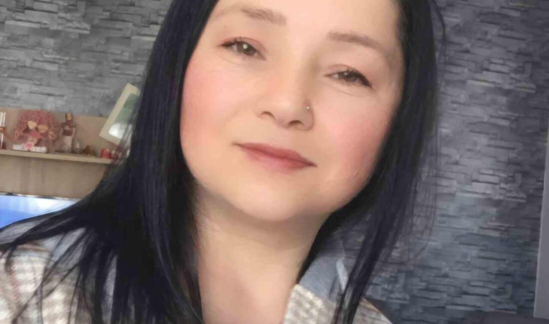 Adapazarı’nda Yolun Karşısına Geçmeye Çalışan Kadına Otomobil Çarptı, Hayatını Kaybetti Sakarya'nın Adapazarı ilçesinde D-020 kara yolunda 44 yaşındaki Aygül Tok,