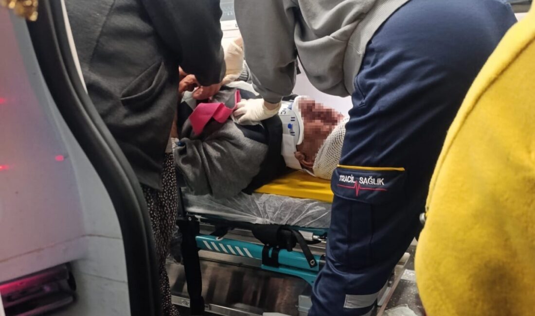 Osmaniye'nin Düziçi ilçesinde meydana gelen kazada, Nuri Ş. yönetimindeki otomobil,