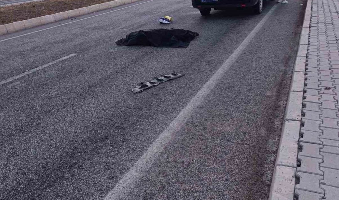 Yozgat'ın Yerköy ilçesinde bir otomobilin çarptığı 69 yaşındaki Ayşe Şahin