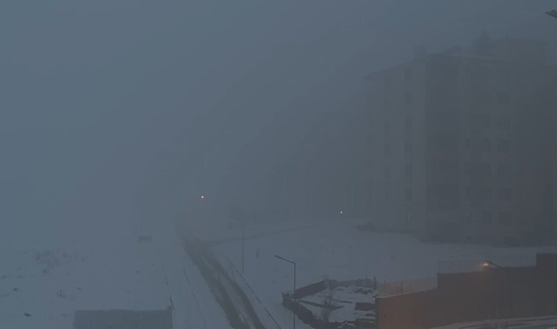 Yüksekova’da Yoğun Sis ve Kar Yağışı, Görüş Mesafesini 5 Metreye Düşürdü Hakkari'nin Yüksekova ilçesinde yoğun kar yağışı ve sis, günlük yaşamı