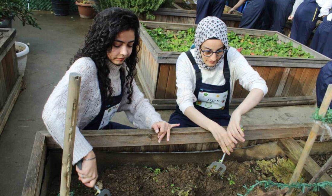 Zeytinburnu'ndaki AKDEM Bahçesi'nde, 3 Aralık Dünya Engelliler Günü dolayısıyla Biruni