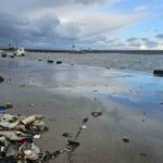 Zonguldak’ta Şiddetli Rüzgar Limanı Su Baskınına Neden Olurken, Balıkçılar Mücadele Ediyor