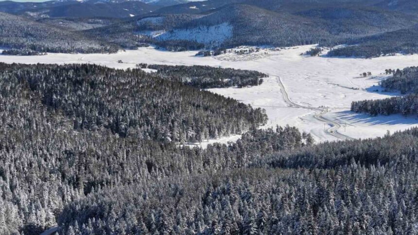 Bolu’nun güneydoğusundaki Sarıalan Yaylası, kış manzarasıyla beyaz örtüyle kaplandı.