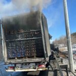 Adana otoyolunda narenciye yüklü tır yangına uğradı, itfaiye ekipleri müdahale etti.