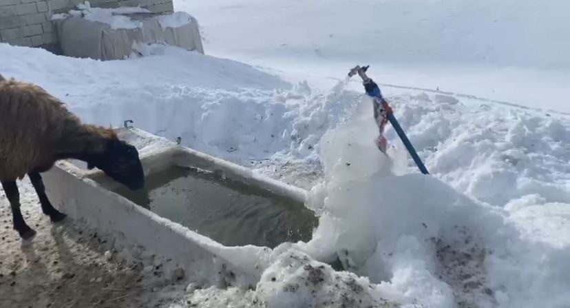 Ağrı’da Dondurucu Soğuklar, Ağaçları Kırağıyla Kapladı; Buz Sarkıtları Ev Çatılarında Belirginleşti Ağrı’da Dondurucu Soğuklar, Ağaçları Kırağıyla Kapladı; Buz Sarkıtları Ev Çatılarında Belirginleşti