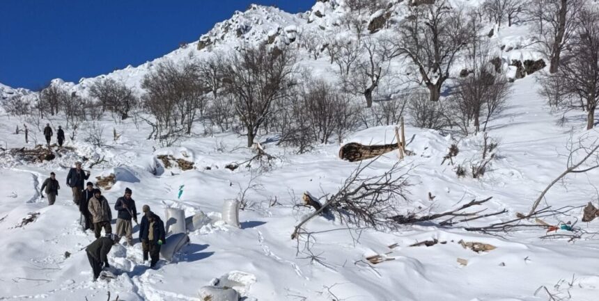 Hakkari’de çığ felaketi, Taşbaşı köyünde çok sayıda küçükbaş hayvanı telef etti.