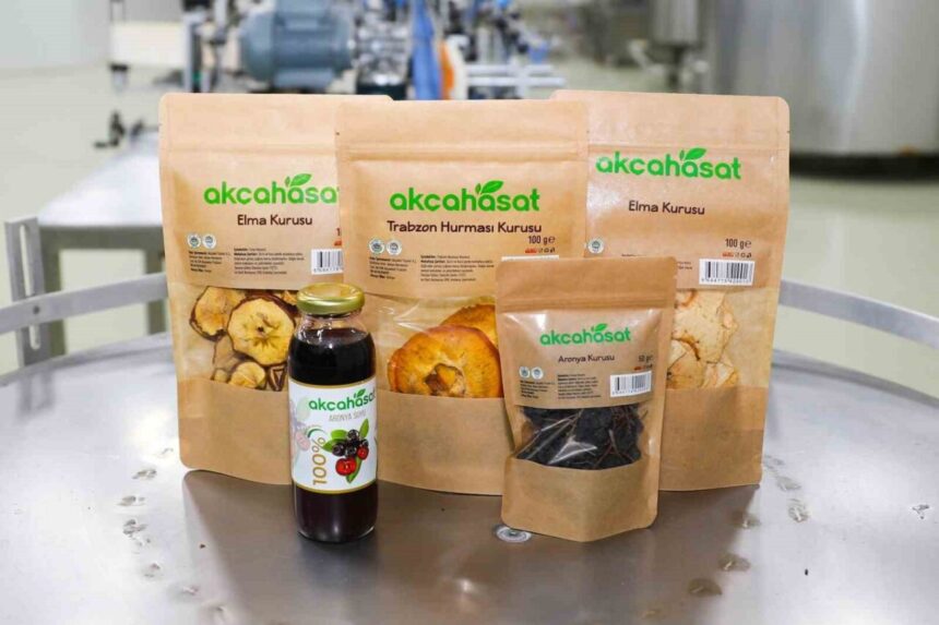 Akçaabat’ta Akçahasat Tesisi’nde yerel meyveler marketlerde satışa sunulmaya başlandı. Akçaabat’ta Akçahasat Tesisi’nde yerel meyveler marketlerde satışa sunulmaya başlandı.