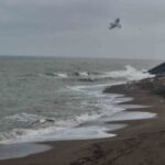 Akçakoca’da sağanak yağış ve fırtına nedeniyle denizde dalgalar sahili vurdu.