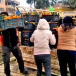 Alaçatı Gıda Topluluğu, “Dalından Sofraya, El Birliğiyle Hatay’a” sloganıyla dayanışma kampanyası başlattı.