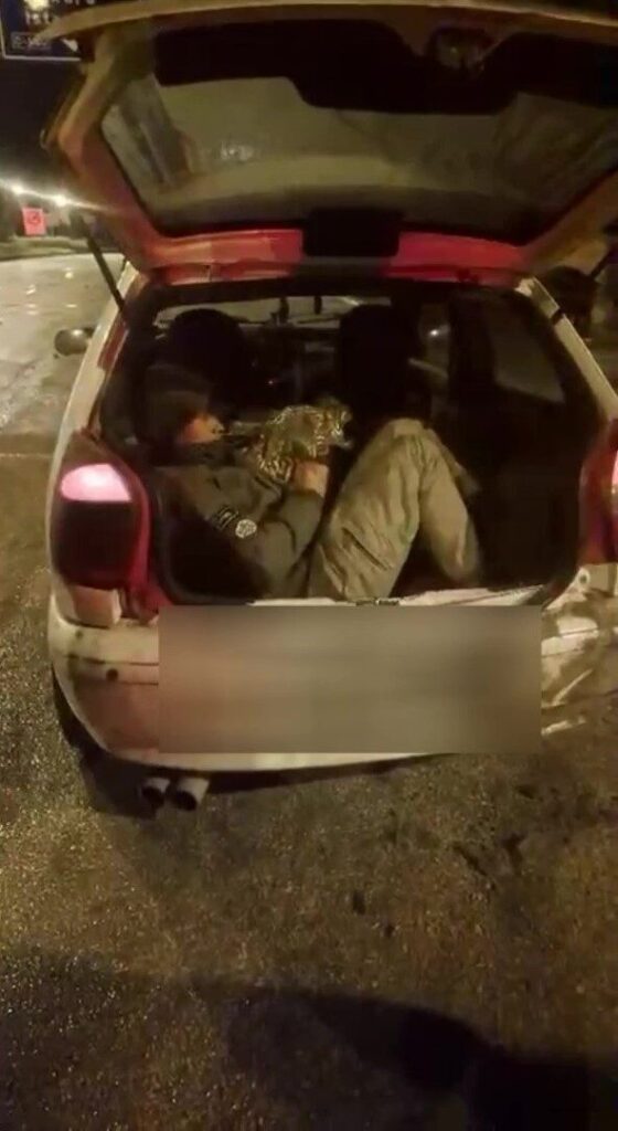 Amasya’da durdurulan araçta 5 Afgan göçmen yakalandı, sürücü gözaltına alındı.