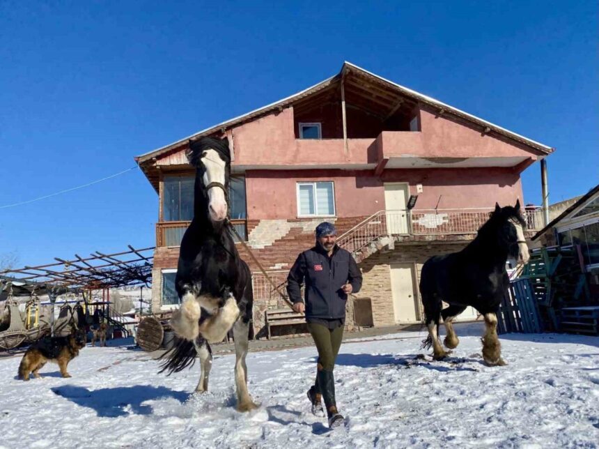 Ankara’nın Çubuk ilçesinde Özgür Peştanlı, çeşitli hayvanlarla dolu çiftliğinde doğayla iç içe bir yaşam sürdürüyor.