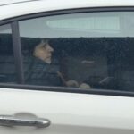 Bahçelivler’deki Adli Tıp Kurumu’nda anne Galina Svechnikov, oğlu Nikolai’nin cesedini teşhis etti.