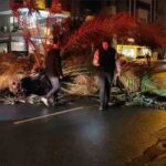 Manavgat’ta meydana gelen fırtına, refüjdeki palmiyeyi kırarak trafiği etkiledi. Ekipler yolu temizledi.