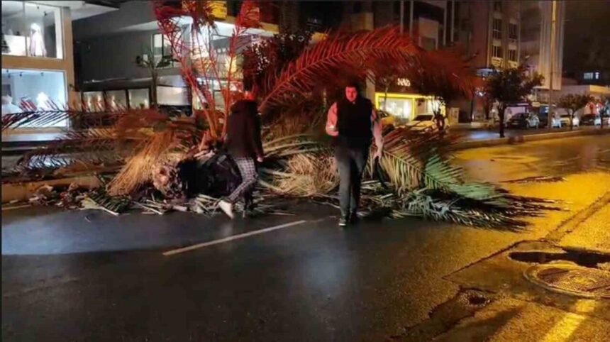 Manavgat’ta meydana gelen fırtına, refüjdeki palmiyeyi kırarak trafiği etkiledi. Ekipler yolu temizledi. Manavgat’ta meydana gelen fırtına, refüjdeki palmiyeyi kırarak trafiği etkiledi. Ekipler yolu temizledi.