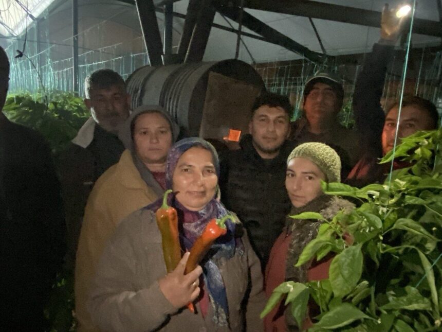Antalya’da üreticiler, dondan korumak için gece seralarında nöbet tuttu.