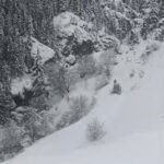 Artvin’de yoğun kar yağışı, 6 ilçede 120 köy yolunun trafiğe kapanmasına yol açtı.