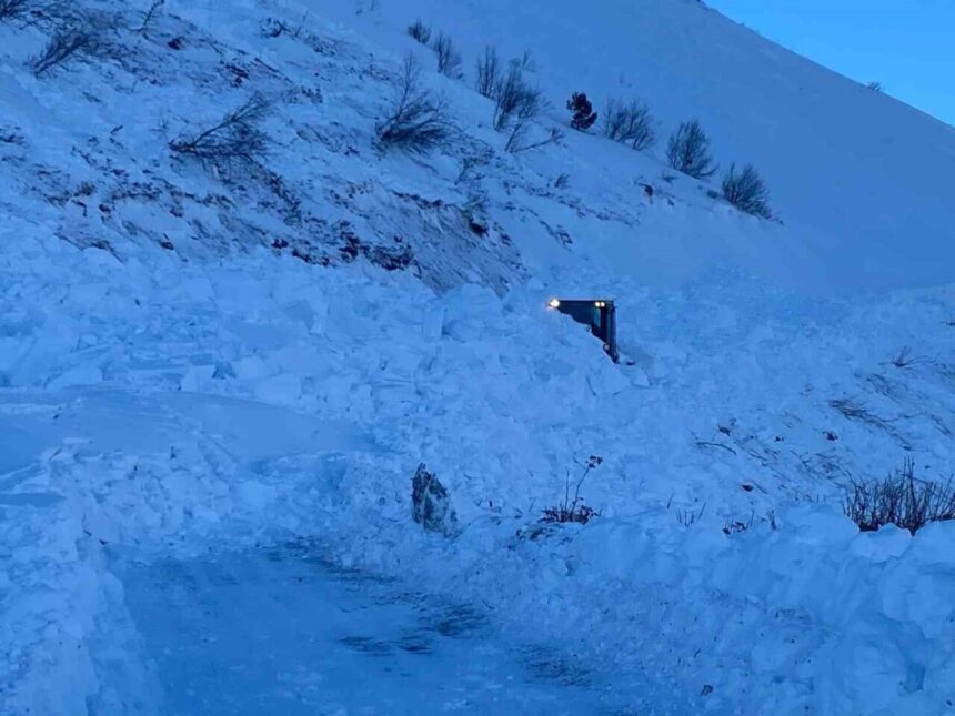 Artvin’de çığ felaketinde kaybolan çobanın arama çalışmaları yeni çığ riski nedeniyle durduruldu.