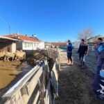 Esetçe’de aşılama sırasında yeni doğan kuzu ekiple çiftçiyi sevindirdi.