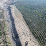 Buharkent İlek Bahçeleri, 21 Ocak 2026’da düzenlenecek törenle açılacak.