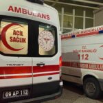 Aydın’da baba ve üvey oğlu arasında çıkan kavga sonrasında baba kalp krizi geçirerek hayatını kaybetti.