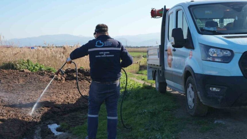 Balıkesir’de Büyükşehir Belediyesi kış döneminde haşereyle mücadeleyi sürdürüyor Balıkesir’de Büyükşehir Belediyesi kış döneminde haşereyle mücadeleyi sürdürüyor